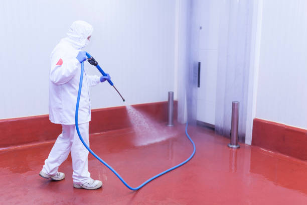 Professional Pressure Washing Services in Layton, UT