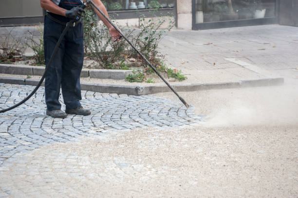 Best Driveway Pressure Washing  in Layton, UT